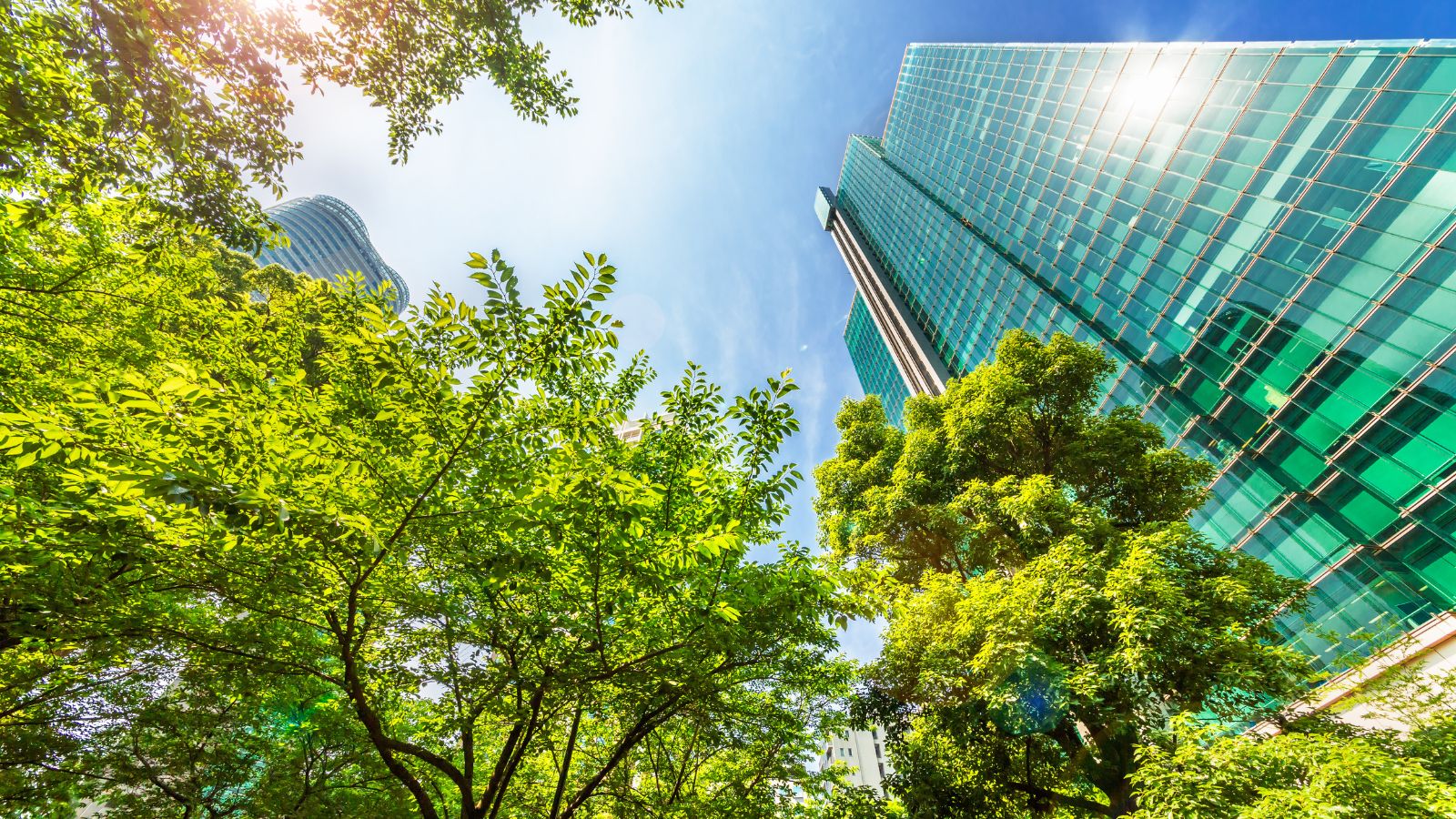 Modern glass office facade reflecting city buildings